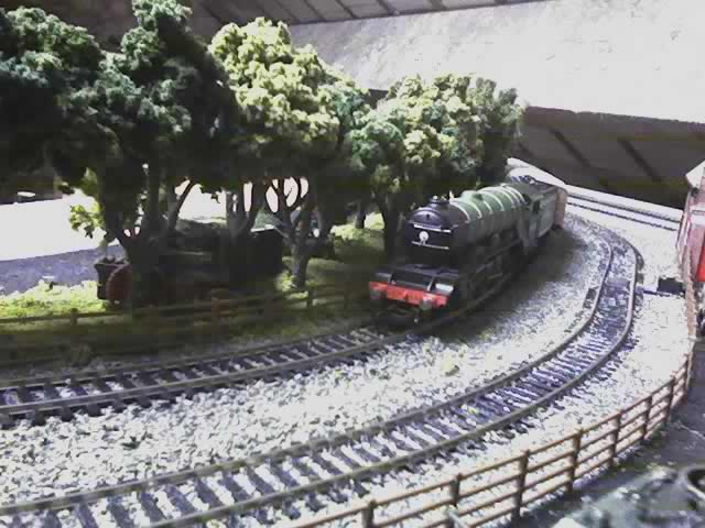 Flying Scotsman and copse