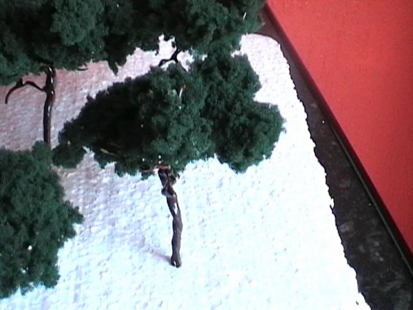 My 1st  attemt with making hand made trees.