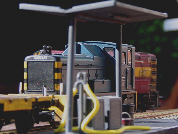 November's Competition Winner!!!