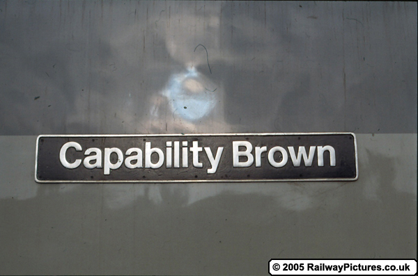 Nameplate Capability Brown