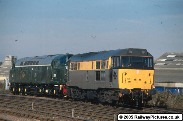 31541 and D306