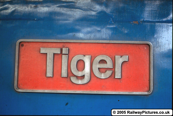Tiger Nameplate 50028