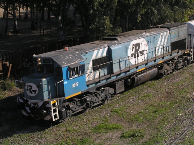 Ferrosur Roca 9019 [Argentina]