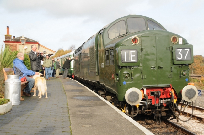 D6737 at Totnes (8/11/08)