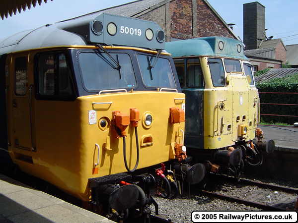 50019 and 31538