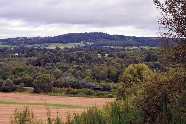 42968 at Foley Park Tunnel (SVR) (15/8/09)