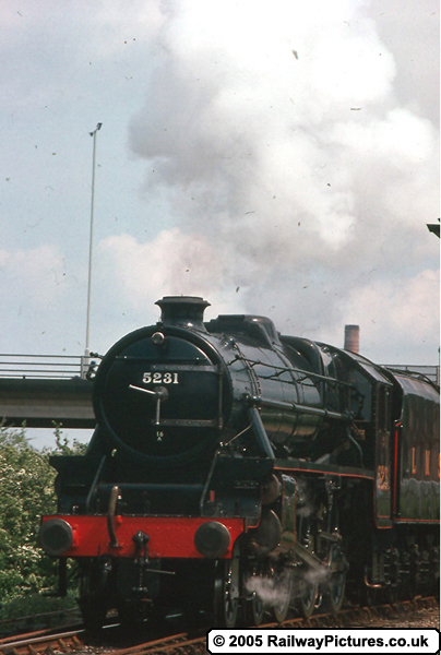LMS 5231