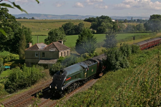 60009 Union of South Africa