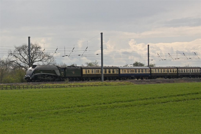 60019 Bittern