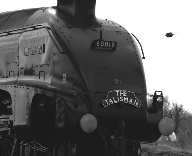 60019 Bittern - Talisman