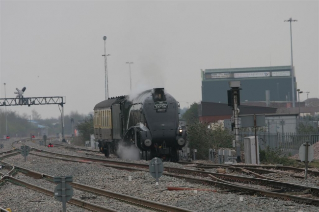 60019 Bittern at Swindon