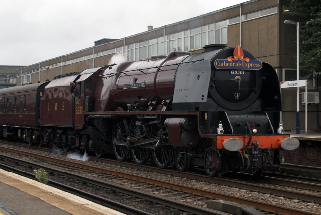 Duchess at Eastleigh