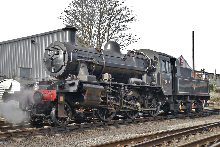 78019