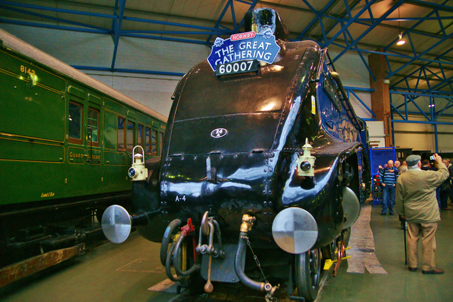 Mallard 75 The Great Gathering