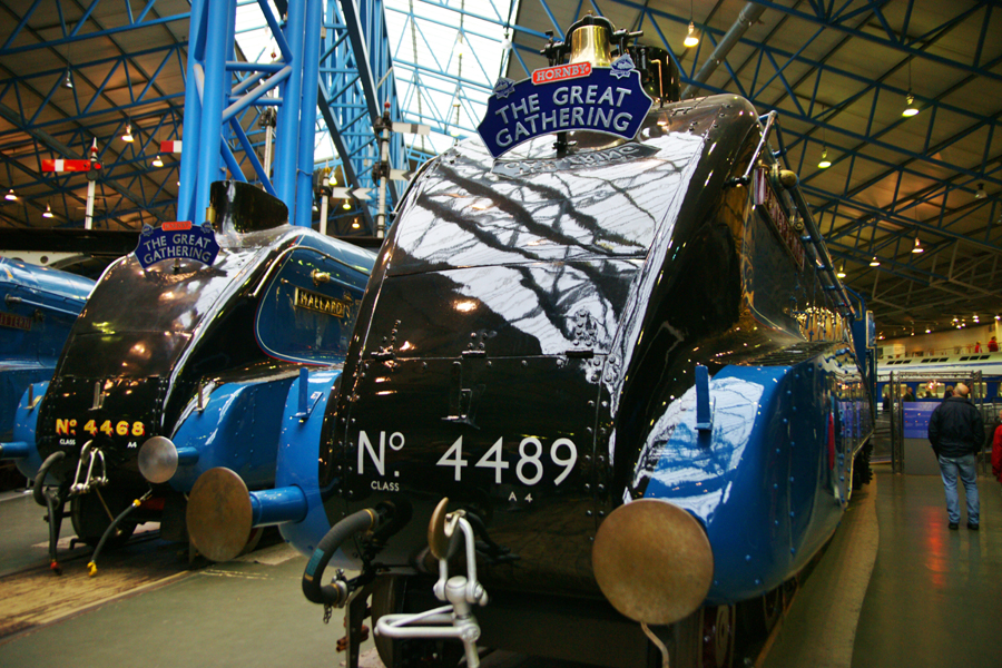 Mallard 75 The Great Gathering