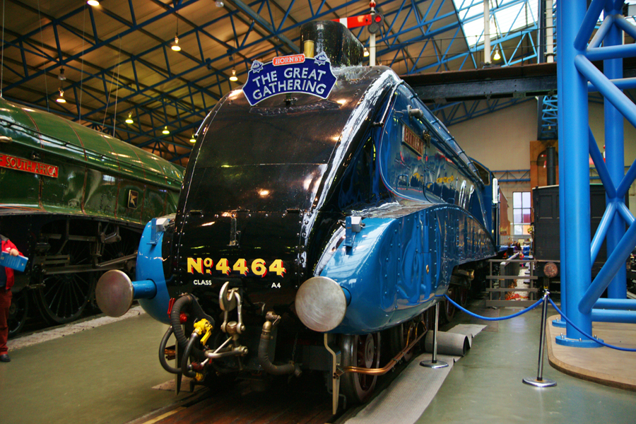 Mallard 75 The Great Gathering