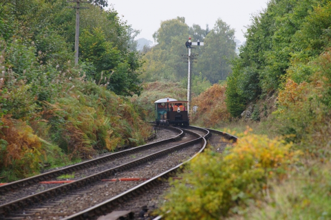 Wickham Gang Trolley's