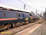 Class 91's