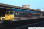 47831 Bolton Wanderer