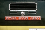 Nameplate Royal Scots Grey