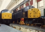 46029 and 40099