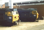 50017 and 50014