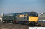 31541 and D306