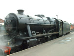 48773