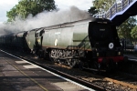 Tangmere3