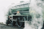 30926 Repton