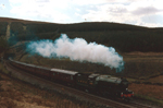4771 Bleamoor