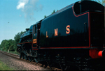 LMS 5231