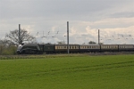 60019 Bittern