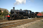 78019