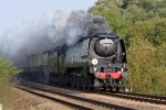 Tangmere heads the Torbay Express